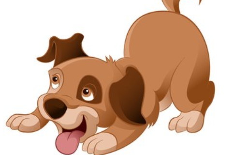 龍龜佩戴時有什么禁忌?需要注意什么