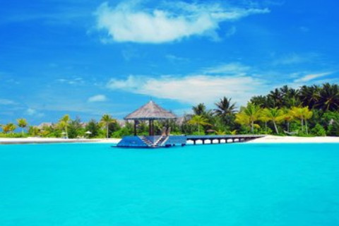 哪些生肖2022年工作有變動?會換工作