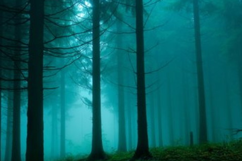 秋天出生的屬鼠人財(cái)運(yùn)如何