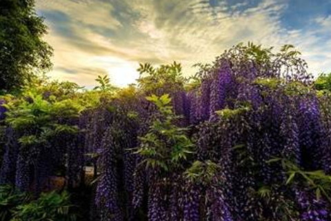 燈具行業(yè)起名推薦