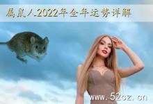 屬鼠人2025年全年運勢詳解