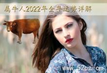 屬牛人2025年全年運勢詳解