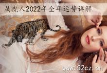 屬虎人2025年全年運勢詳解