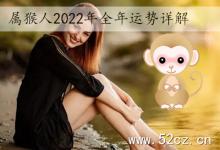 屬猴人2025年全年運勢詳解