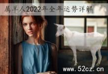 屬羊人2025年全年運勢詳解