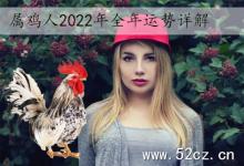 屬雞人2025年全年運勢詳解