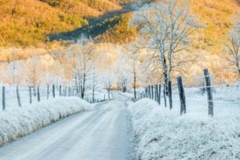 夢見了明星的周公解夢