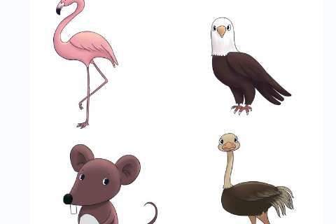 屬蛇和屬虎誰強誰弱