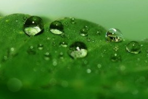 不同時(shí)辰出生的乙巳日柱命運(yùn)解析