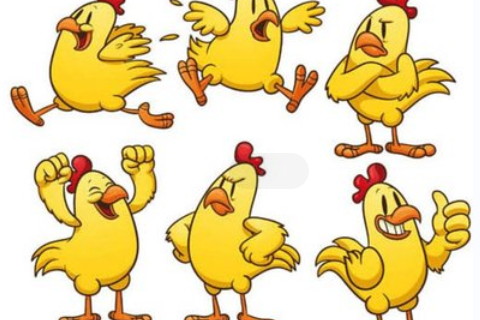 屬龍八個出生日顯富貴