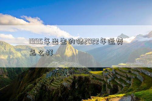 1995年出生的豬2022年運勢怎么樣