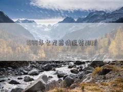 1988年女龍感情運勢2022