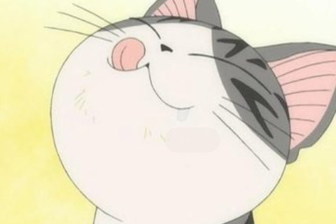 夢見美洲豹代表什么