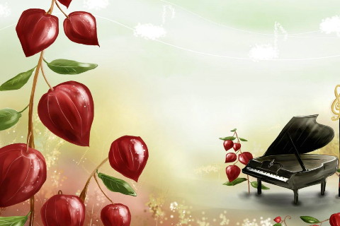 鞋子的風(fēng)水宜忌有哪些