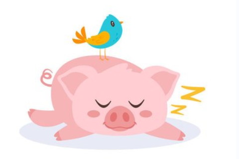 男孩名字帶迪的名字