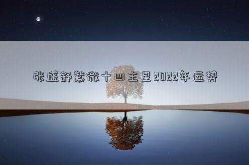 張盛舒紫微十四主星2022年運勢 張盛舒紫微十四主星2022年運勢