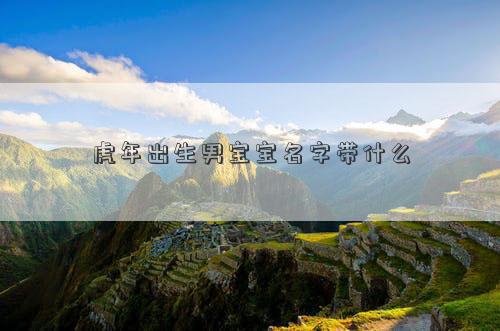 虎年出生男寶寶名字帶什么