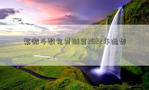 紫微斗數(shù)免費(fèi)測(cè)算2022年運(yùn)勢(shì) 紫微斗數(shù)免費(fèi)測(cè)算2022年運(yùn)勢(shì)