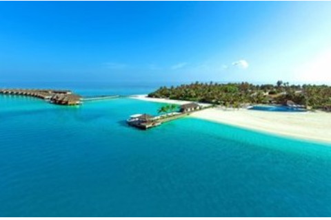 上升白羊男長相