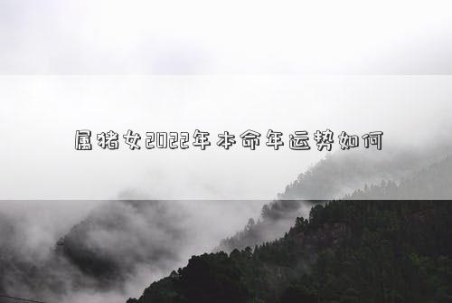 屬豬女2022年本命年運(yùn)勢(shì)如何