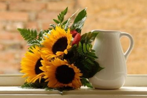 男孩名字帶迪的名字