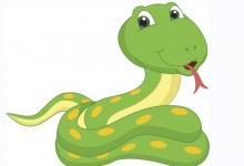 痣相學中的好痣有哪些