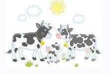 走路快的女人命運解析