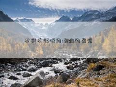 有沒有好聽的狗狗的名字