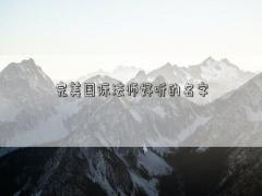 完美國際法師好聽的名字