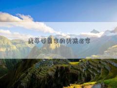 虎年帶晨字的男孩名字