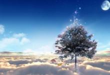 夢見了桔子好不好