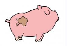 夢見冬瓜的含義