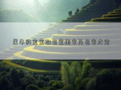 屬牛的寶寶取名宜用字及名字大全