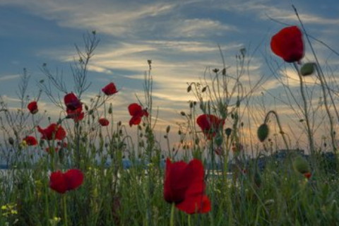 家居餐廳裝修要注意哪些風(fēng)水問題