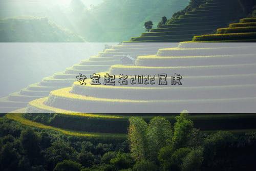 女寶起名2022屬虎 女寶起名2022屬虎