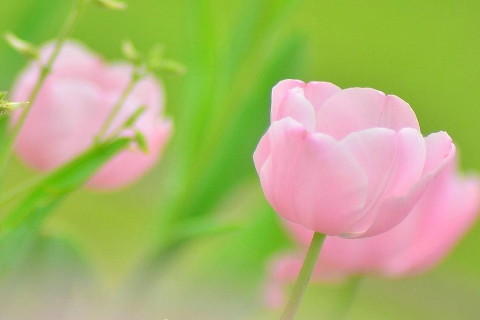 兩個93年的雞結婚好嗎