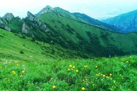 劍鋒金命女人配偶是什么命好