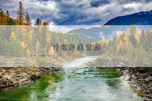什么星座合群