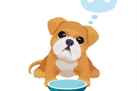 廚房里的用具怎樣擺放合適