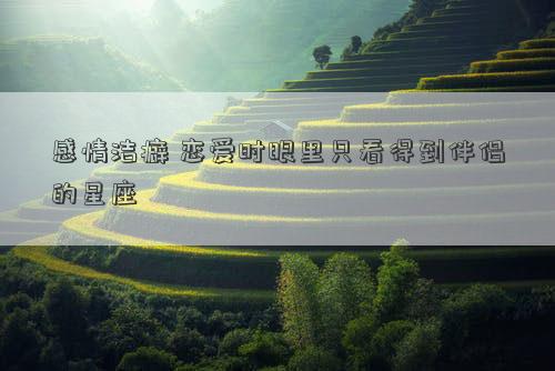 感情潔癖 戀愛時眼里只看得到伴侶的星座 感情潔癖 戀愛時眼里只看得到伴侶的星座