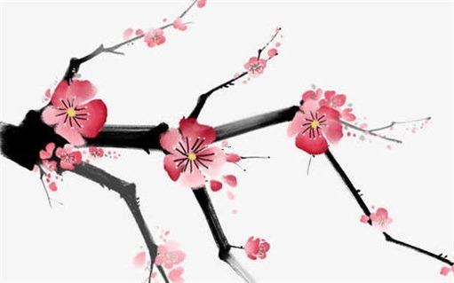 2022壬寅年丙火命人運勢 2022壬寅年丙火命人運勢