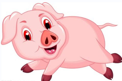 那營(yíng)造廚房風(fēng)水的絕招是什么呢