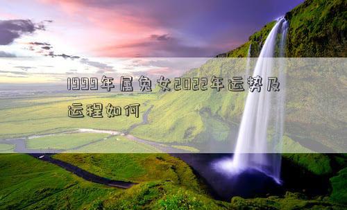 1999年屬兔女2022年運勢及運程如何 1999年屬兔女2022年運勢及運程如何