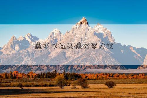 虎年李姓男孩名字大全