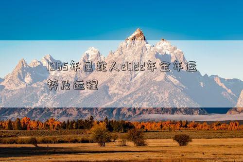 1965年屬蛇人2022年全年運勢及運程