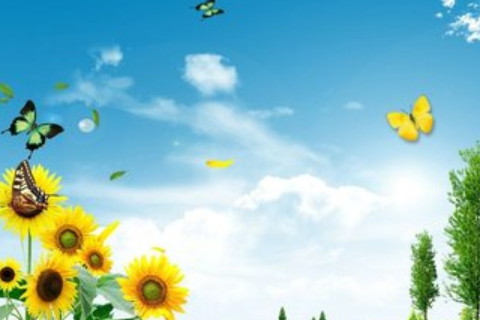 財(cái)神爺最喜歡的家居風(fēng)水有哪些