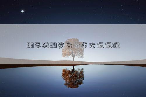 83年豬39歲后十年大運運程 83年豬39歲后十年大運運程