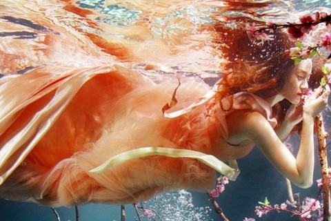 2022年雞和豬屬相較為相配