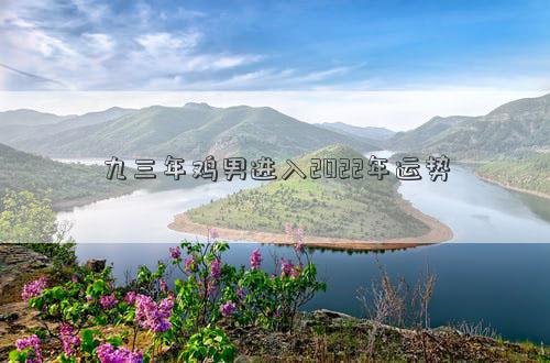 九三年雞男進入2022年運勢 九三年雞男進入2022年運勢