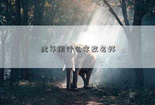 虎年用什么字改名好 虎年用什么字改名好